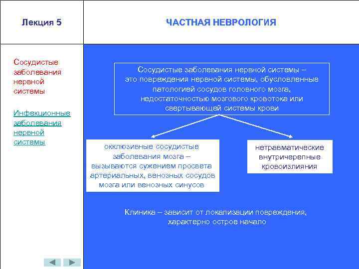 Лекция 5 Сосудистые заболевания нервной системы Инфекционные заболевания нервной системы ЧАСТНАЯ НЕВРОЛОГИЯ Сосудистые заболевания