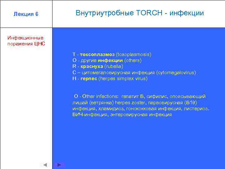 Лекция 6 Внутриутробные TORCH - инфекции Инфекционные поражения ЦНС Т - токсоплазмоз (toxoplasmosis) О