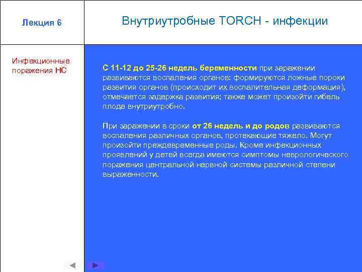 Лекция 6 Инфекционные поражения НС Внутриутробные TORCH - инфекции С 11 -12 до 25