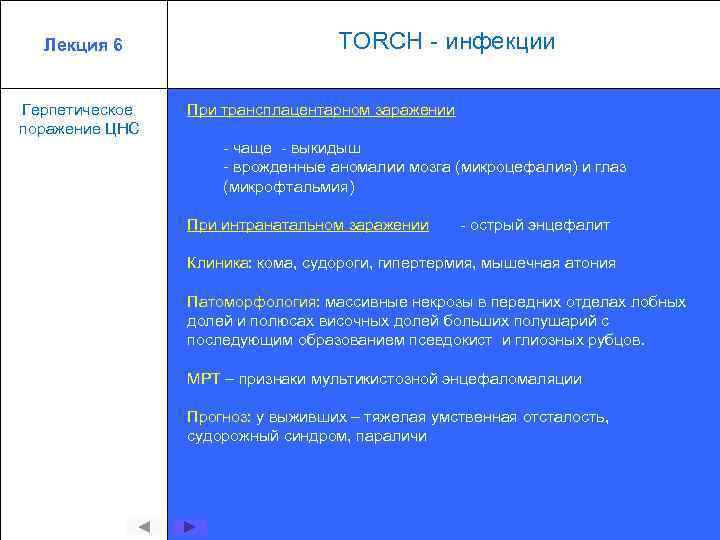 TORCH - инфекции Лекция 6 Герпетическое поражение ЦНС При трансплацентарном заражении - чаще -