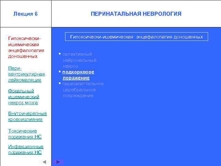 Лекция 6 ПЕРИНАТАЛЬНАЯ НЕВРОЛОГИЯ Гипоксическиишемическая энцефалопатия доношенных Гипоксически-ишемическая энцефалопатия доношенных Перивентрикулярная лейкомаляция Фокальный ишемический