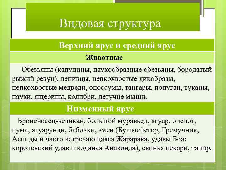 Видовая структура Верхний ярус и средний ярус Животные Обезьяны (капуцины, паукообразные обезьяны, бородатый рыжий