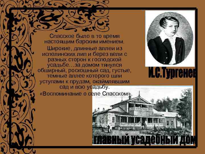 Спасское было в то время настоящим барским имением. Широкие, длинные аллеи из исполинских лип