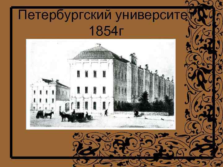 Петербургский университет 1854 г 