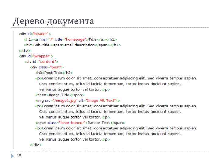 Дерево документа 15 