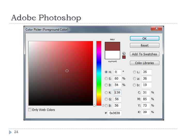 Adobe Photoshop 24 