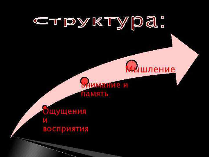 Мышление Внимание и память Ощущения и восприятия 