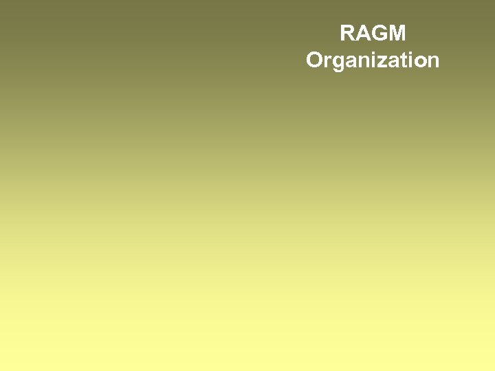 RAGM Organization 