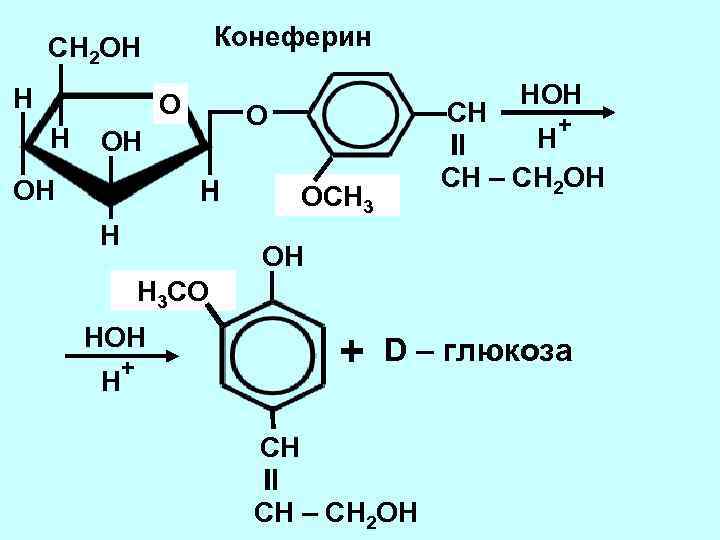Конеферин CH 2 OH H OH OH CH O H H HOH + H