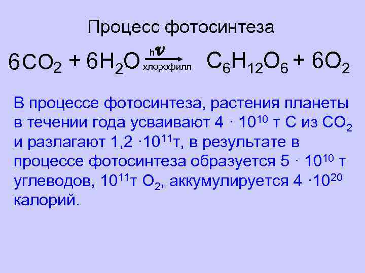 Процесс фотосинтеза 6 h v + 6 H 2 O хлорофилл C 6 H