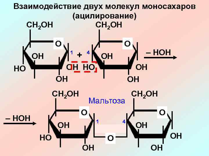 Химические свойства мальтозы