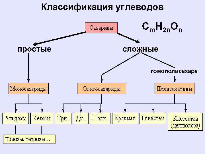 Строение и классификация углеводов