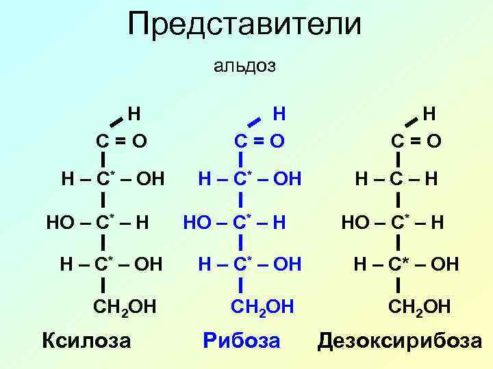 Представители альдоз H C=O H – C* – OH HO – C* – H