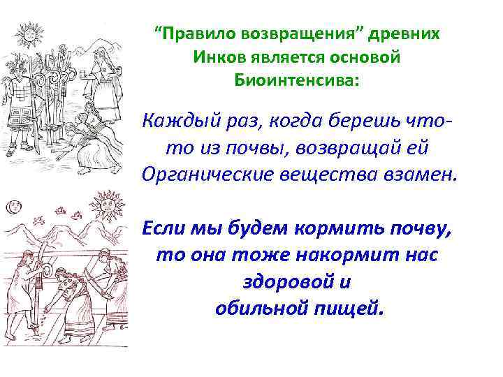 “Правило возвращения” древних Инков является основой Биоинтенсива: Каждый раз, когда берешь чтото из почвы,
