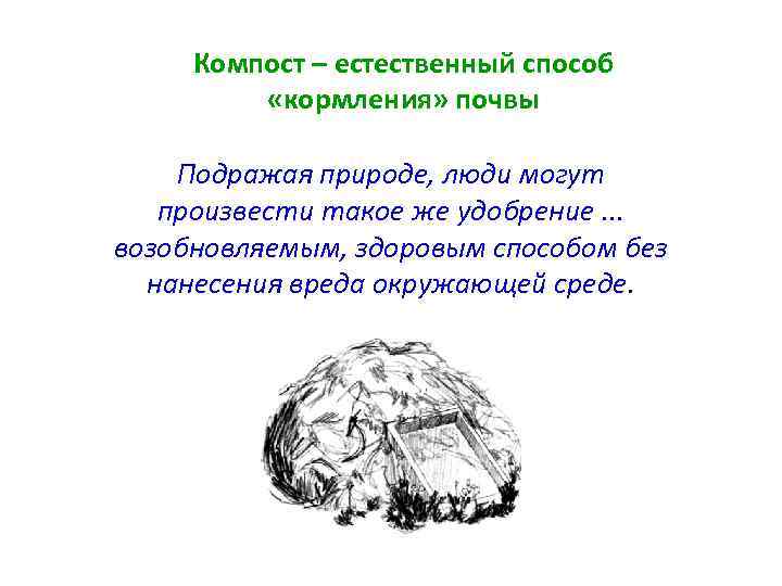 Компост – естественный способ «кормления» почвы Подражая природе, люди могут произвести такое же удобрение.