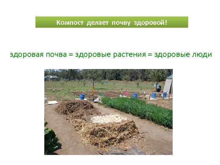 Компост делает почву здоровой! здоровая почва = здоровые растения = здоровые люди 