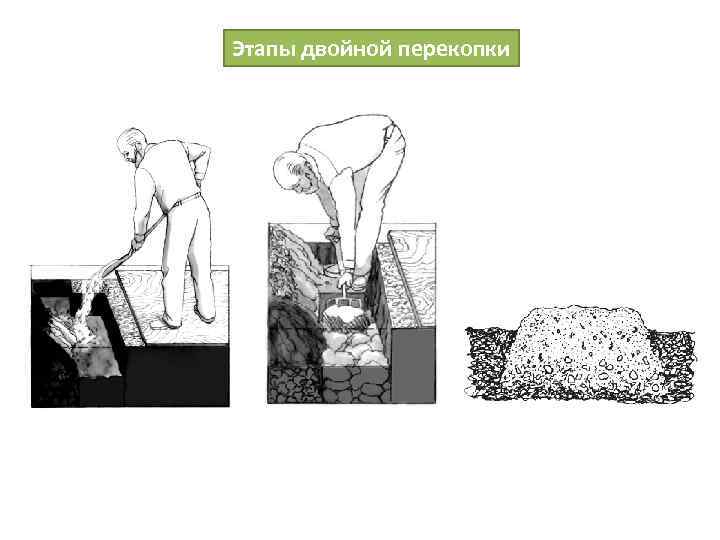 Этапы двойной перекопки 