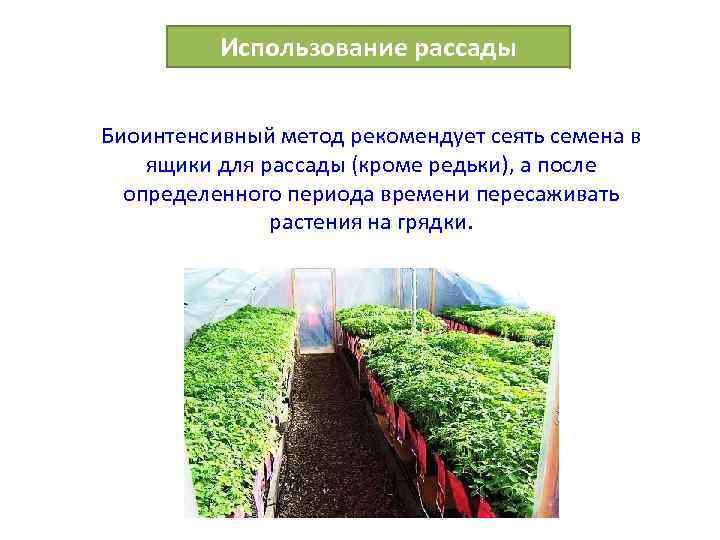 Использование рассады Биоинтенсивный метод рекомендует сеять семена в ящики для рассады (кроме редьки), а