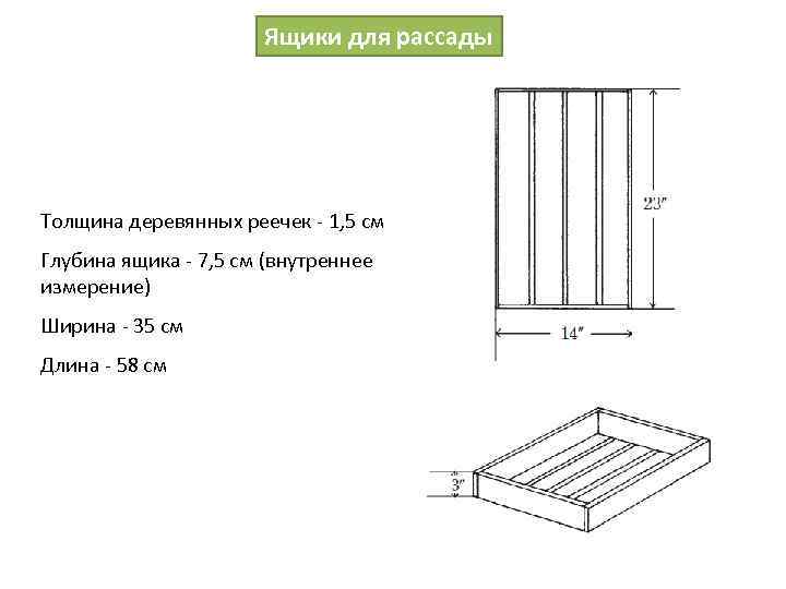 Чертеж ящика для овощей