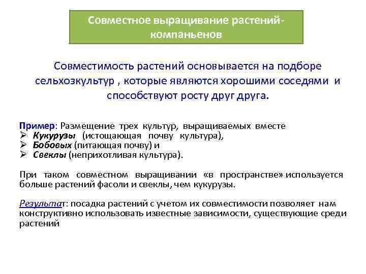 Совместное выращивание растенийкомпаньенов Совместимость растений основывается на подборе сельхозкультур , которые являются хорошими соседями