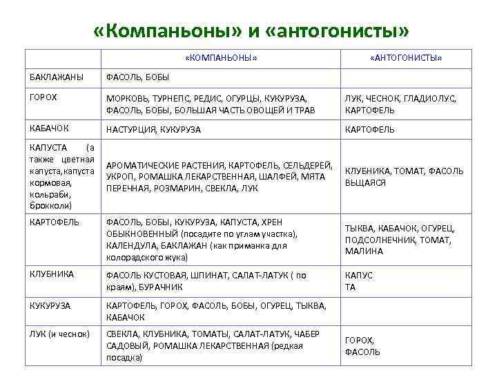 «Компаньоны» и «антогонисты» «КОМПАНЬОНЫ» «АНТОГОНИСТЫ» БАКЛАЖАНЫ ФАСОЛЬ, БОБЫ ГОРОХ МОРКОВЬ, ТУРНЕПС, РЕДИС, ОГУРЦЫ,