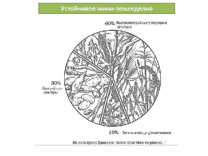 Устойчивое мини-земледелие 