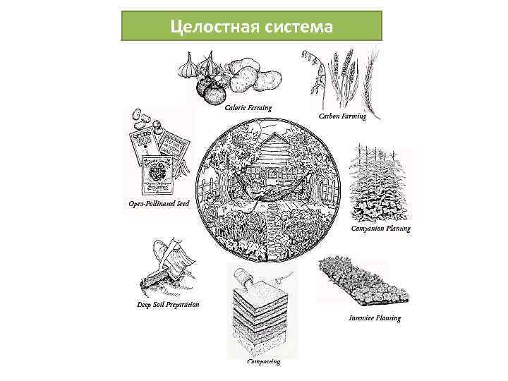 Целостная система 