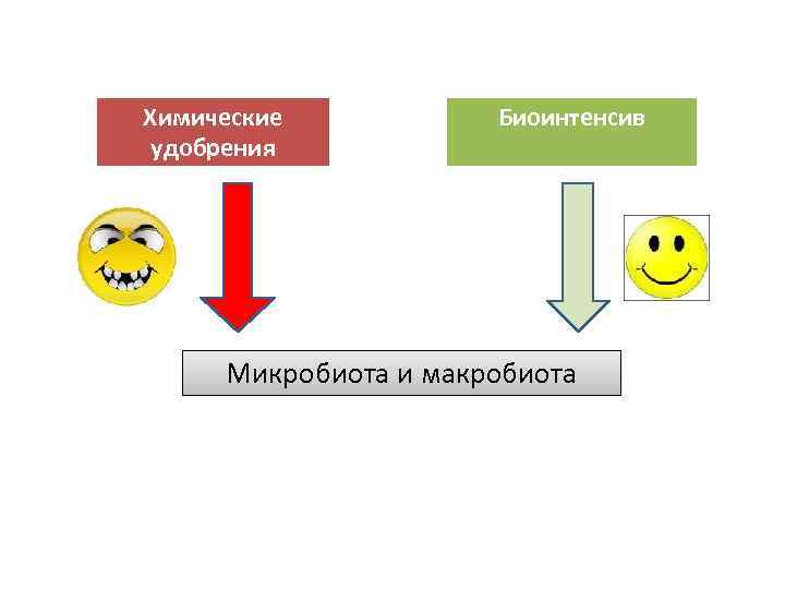 Химические удобрения Биоинтенсив Микробиота и макробиота 