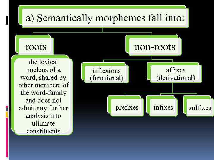 a) Semantically morphemes fall into: roots the lexical nucleus of a word, shared by