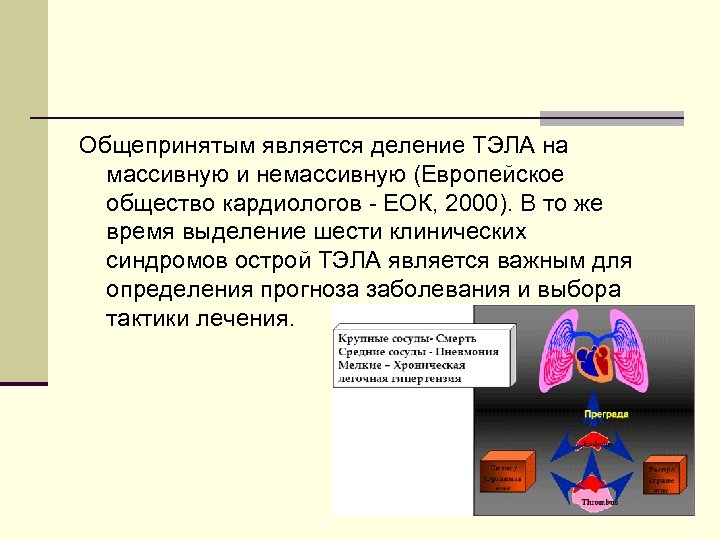 Общепринятым является деление ТЭЛА на массивную и немассивную (Европейское общество кардиологов ЕОК, 2000). В