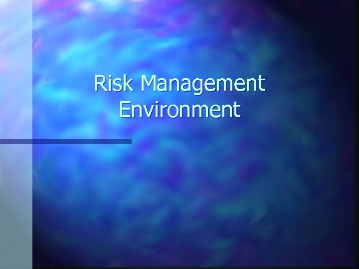 Risk Management Environment 
