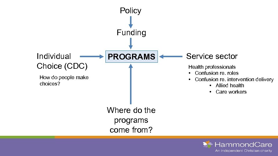Policy Funding Individual Choice (CDC) PROGRAMS Service sector Health professionals • Confusion re. roles