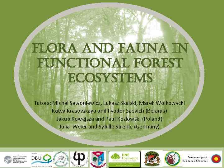 flora and fauna in functional forest ecosystems Tutors: Michal Sawoniewicz, Lukasz Skalski, Marek Wolkowycki