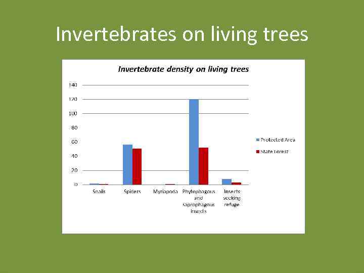 Invertebrates on living trees 