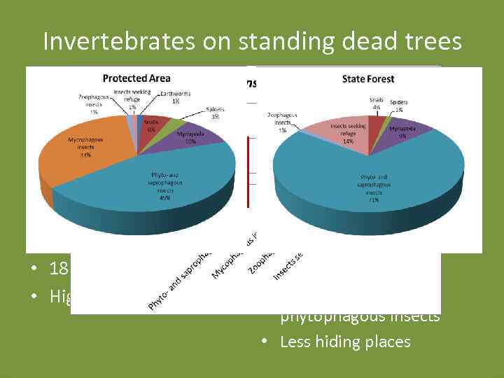 Invertebrates on standing dead trees • 180 specimen • Higher diversity • 86 specimen