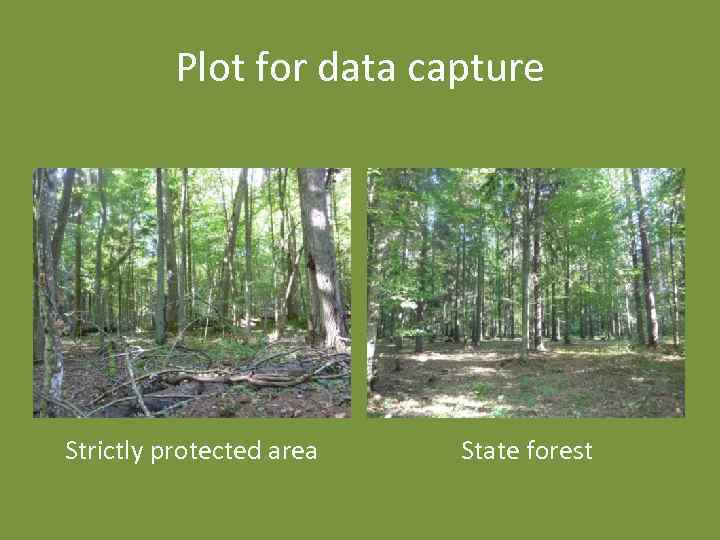 Plot for data capture Strictly protected area State forest 