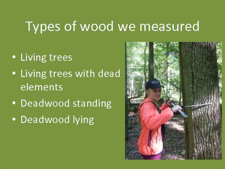 Types of wood we measured • Living trees with dead elements • Deadwood standing