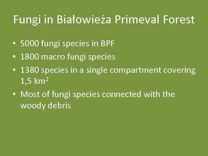 Fungi in Białowieża Primeval Forest • 5000 fungi species in BPF • 1800 macro