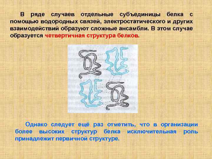 В ряде случаев отдельные субъединицы белка с помощью водородных связей, электростатического и других взаимодействий