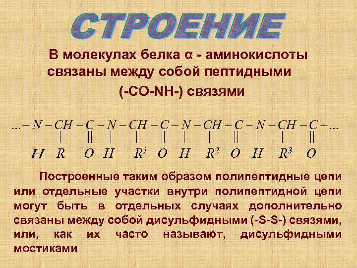 В молекулах белка α - аминокислоты связаны между собой пептидными (-СO-NH-) связями R О
