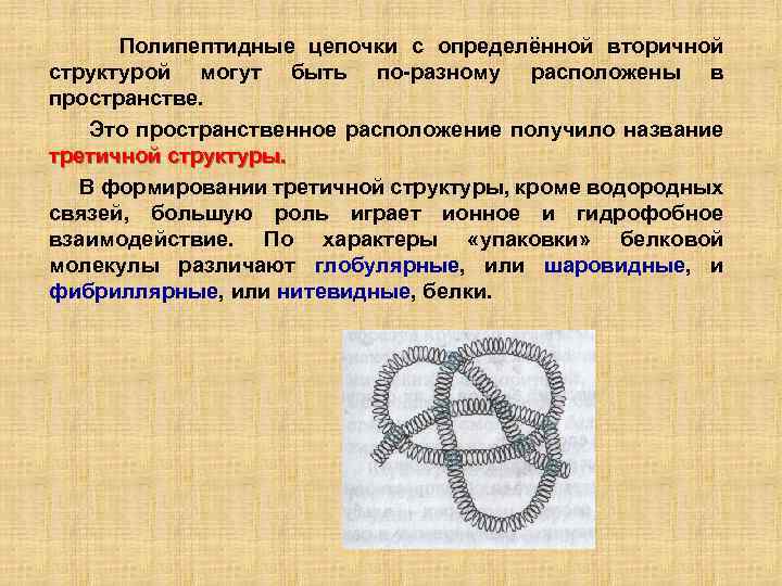 Полипептидные цепочки с определённой вторичной структурой могут быть по-разному расположены в пространстве. Это пространственное