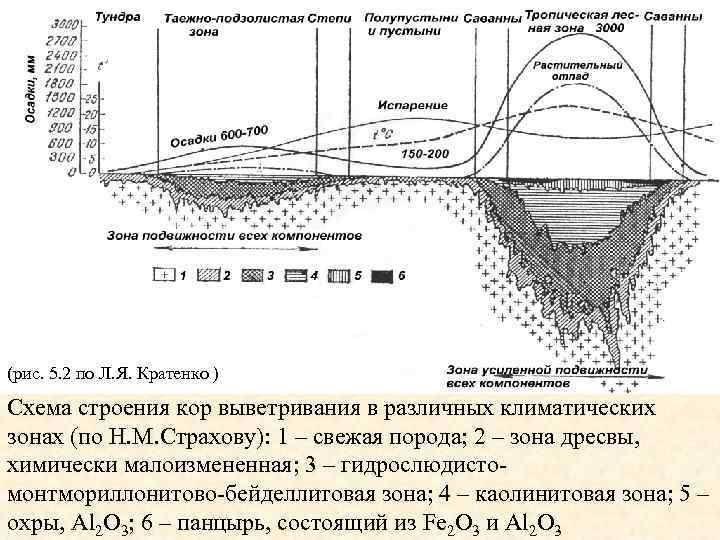 (рис. 5. 2 по Л. Я. Кратенко ) Схема строения кор выветривания в различных