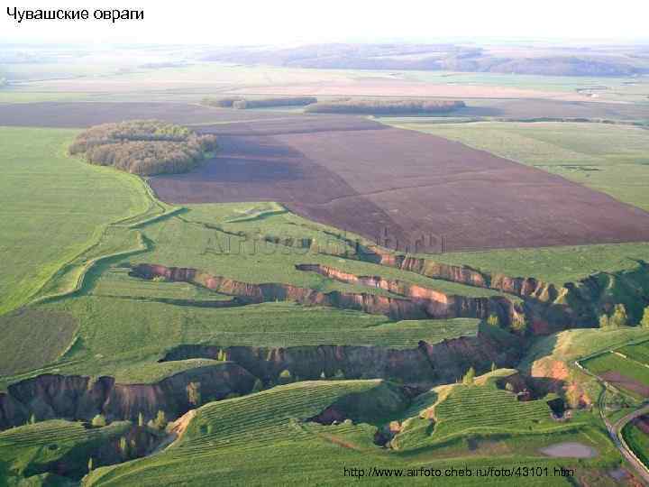 Чувашские овраги http: //www. airfoto. cheb. ru/foto/43101. htm 