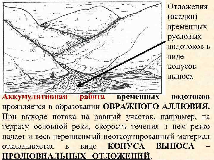 Отложения (осадки) временных русловых водотоков в виде конусов выноса Аккумулятивная работа временных водотоков проявляется