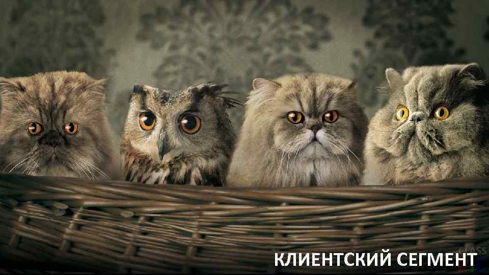 КЛИЕНТСКИЙ СЕГМЕНТ 25 