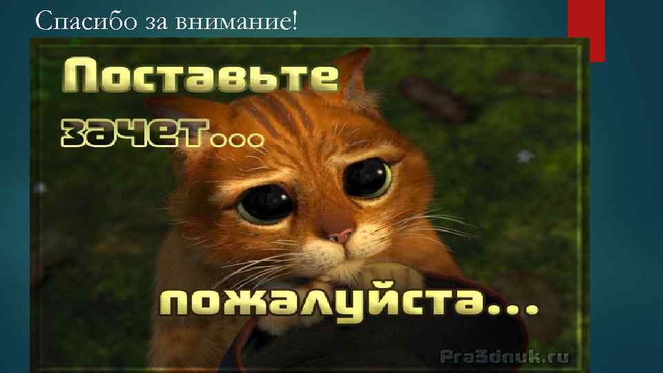 Сдам пожалуйста. Спасибо за внимание поставьте зачет. Пожелания перед сессией. Поздравление с выходом на сессию. Поставьте зачет котик.