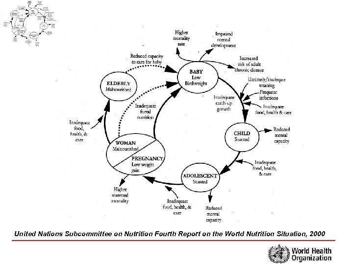 United Nations Subcommittee on Nutrition Fourth Report on the World Nutrition Situation, 2000 