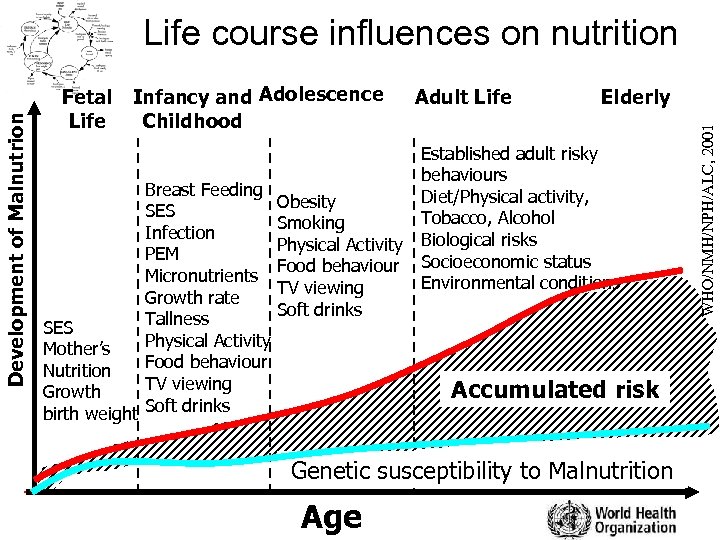 Fetal Life Infancy and Adolescence Childhood Breast Feeding SES Infection PEM Micronutrients Growth rate