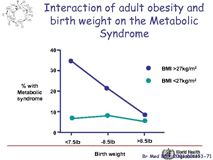 Interaction of adult obesity and birth weight on the Metabolic Syndrome 40 BMI >27