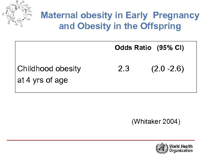 Maternal obesity in Early Pregnancy and Obesity in the Offspring Odds Ratio (95% CI)
